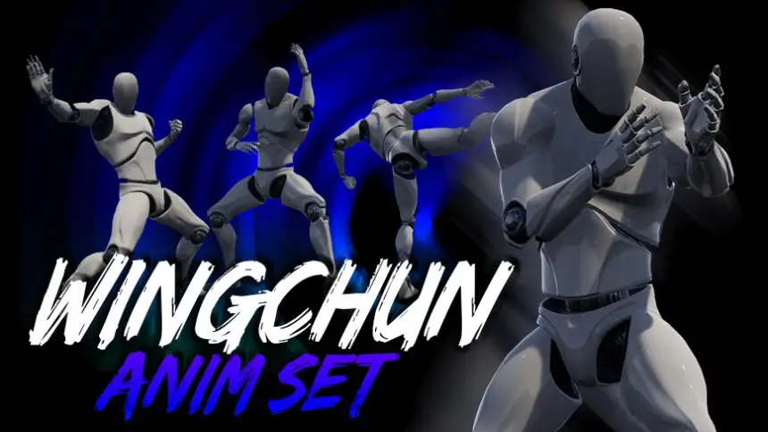 Wingchun AnimSet