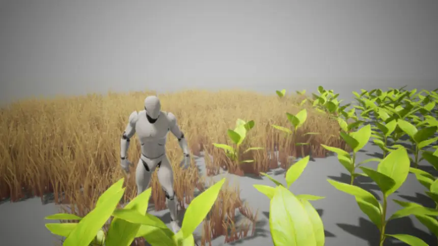 Interactive Plant System