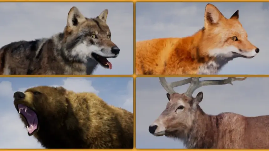 AnimX: Forest Animals