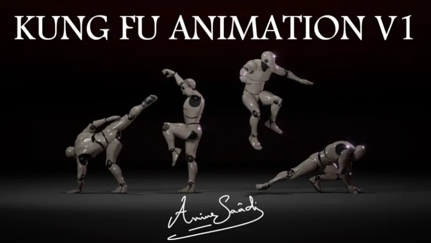 Combat animations - Kung fu V1
