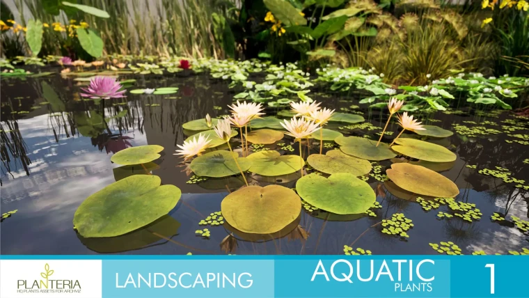 Landscaping Aquatic Plants