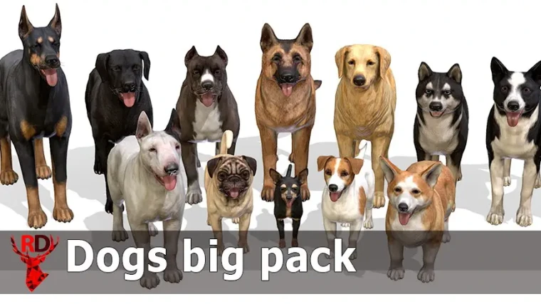 Dogs Big pack