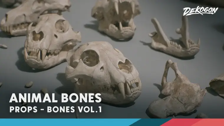 Bones VOL.1 - Animal Bones 1 (Nanite + Low Poly)