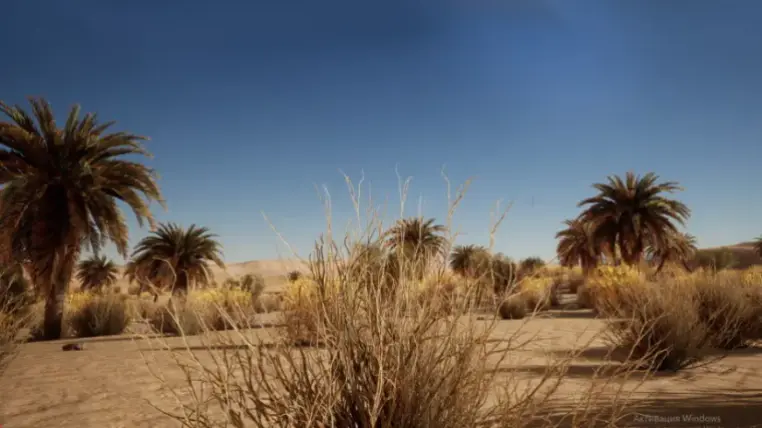 Desert Vegetation Desert Vegetation