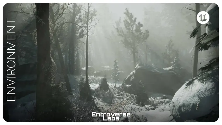 Taiga Biome Environment ( Boreal Forest , Winter Forest , Tundra Biome )