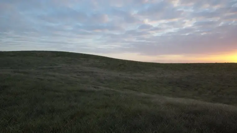 Grass Material - Premium Grass Material - Premium