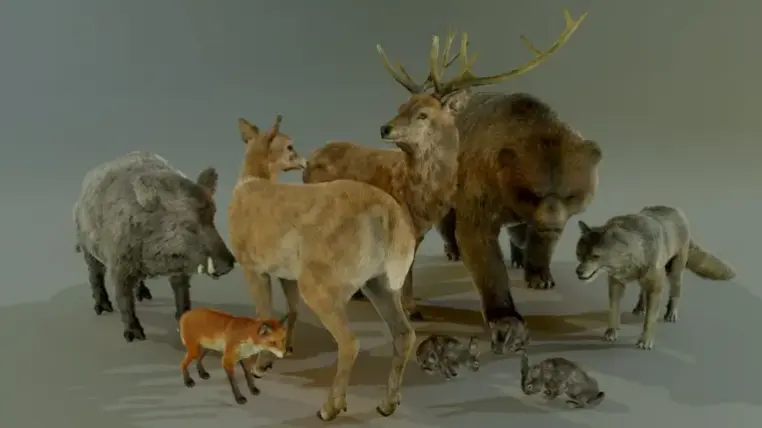 FOREST ANIMALS PACK