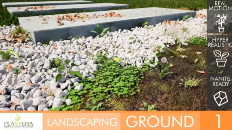 Landscaping Ground 1 Landscaping Ground 1