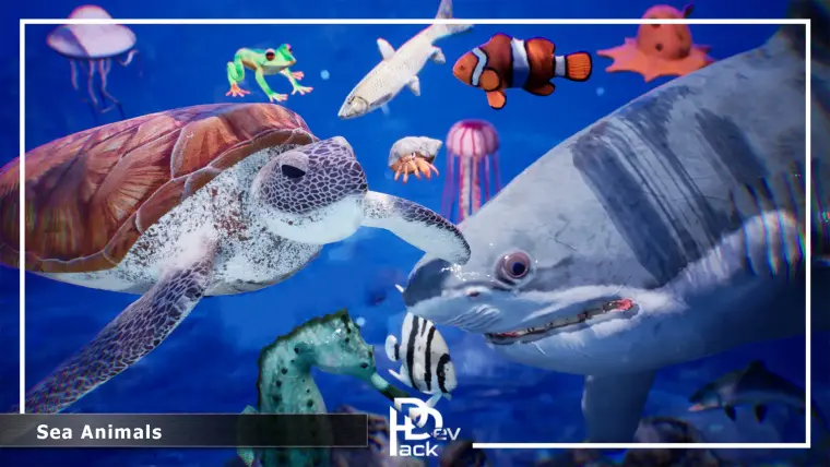 Sea Animals / 12 Meshes