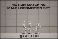 Motion Matching Male Locomotion Set