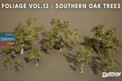 Foliage VOL.13 - Southern Oak Trees (Nanite and Low Poly)