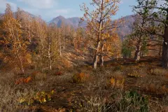 225 Square Km Procedural Forest