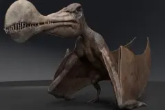 Tropeognathus
