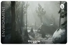 Taiga Biome Environment ( Boreal Forest , Winter Forest , Tundra Biome )