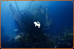 Underwater Sunken Ship Environment ( Underwater Sunken Ship Ship Underwater )