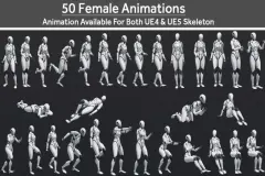 50 Female Animations