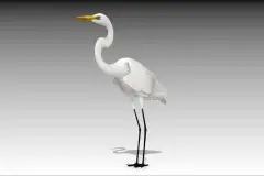 Egret