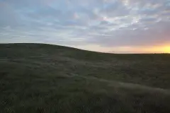 Grass Material - Premium