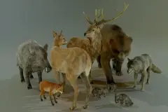FOREST ANIMALS PACK