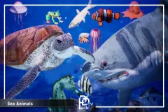 Sea Animals / 12 Meshes