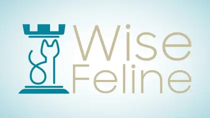 Wise Feline Influence Maps (spatial decision making system)