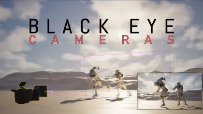 Black Eye Cameras