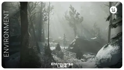 Taiga Biome Environment ( Boreal Forest , Winter Forest , Tundra Biome )