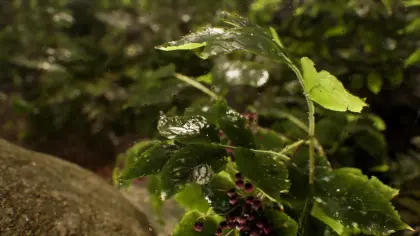 Rain - Water Drop - Flow Material & FX System